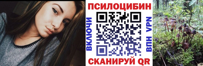 Галлюциногенные грибы Psilocybine cubensis  Купить закладки  Нариманов 